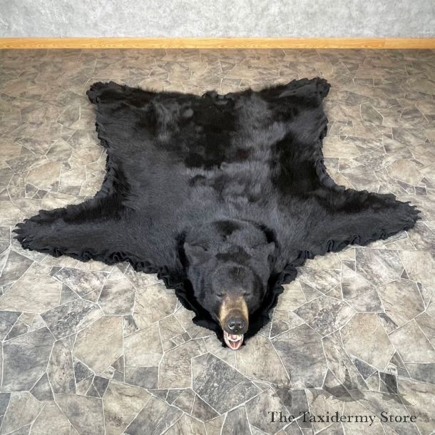 Black Bear Full-Size Rug For Sale #24315 @ The Taxidermy Store