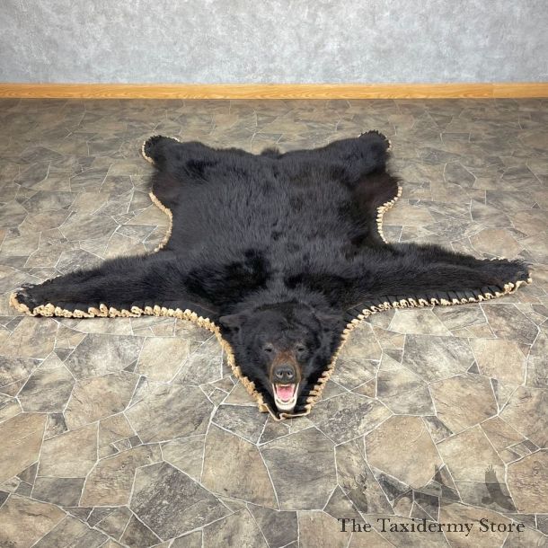 Black Bear Full-Size Rug For Sale #24561 @ The Taxidermy Store