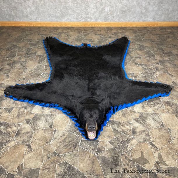 Black Bear Full-Size Rug For Sale #24562 @ The Taxidermy Store
