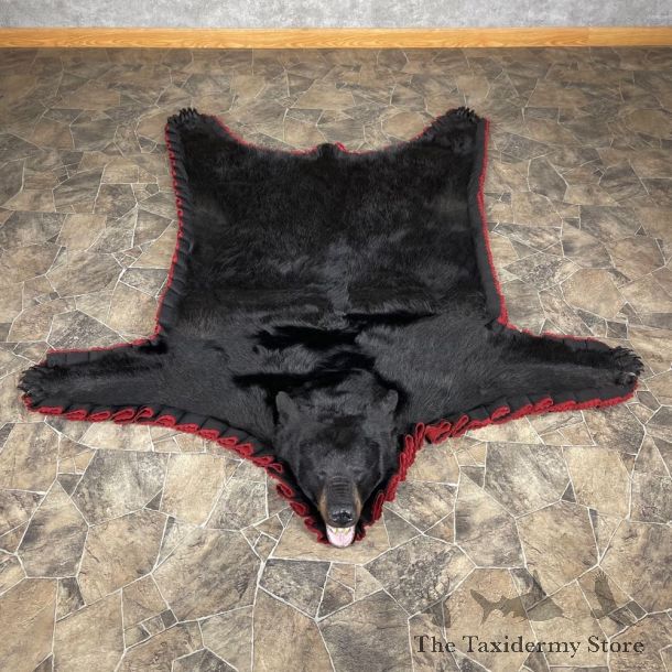 Black Bear Full-Size Rug For Sale #24565 @ The Taxidermy Store