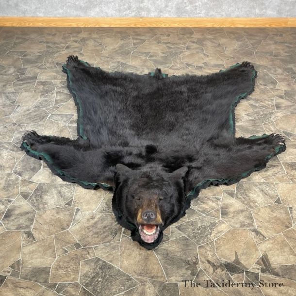 Black Bear Full-Size Rug For Sale #27851 @ The Taxidermy Store