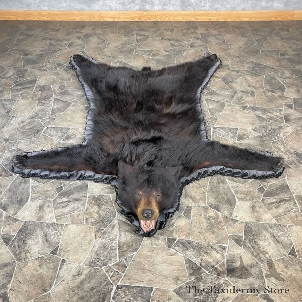 Black Bear Full-Size Rug For Sale #27853 @ The Taxidermy Store