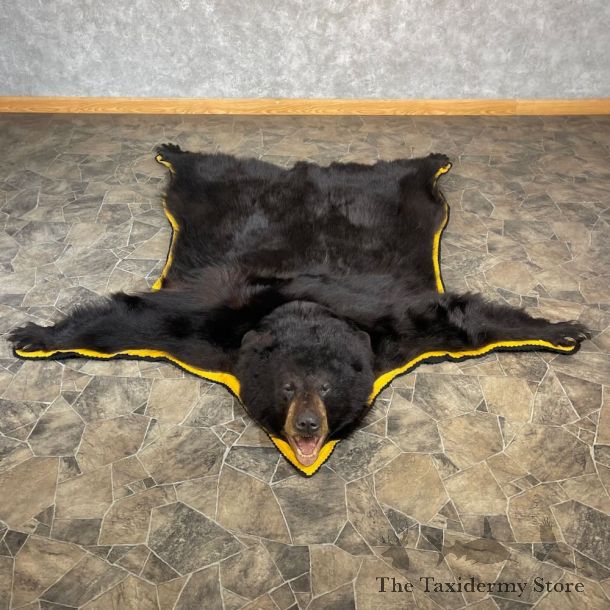Black Bear Full-Size Rug For Sale #27856 @ The Taxidermy Store