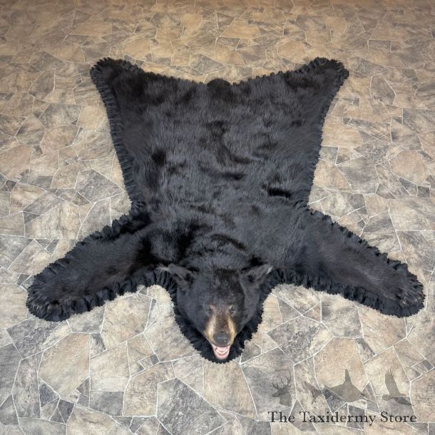 Black Bear Full-Size Rug For Sale #28824 @ The Taxidermy Store