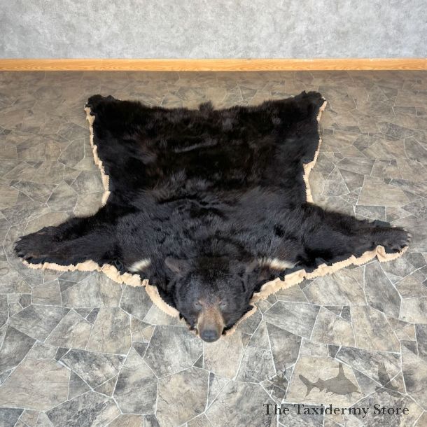 Black Bear Full-Size Rug For Sale #24175 @ The Taxidermy Store