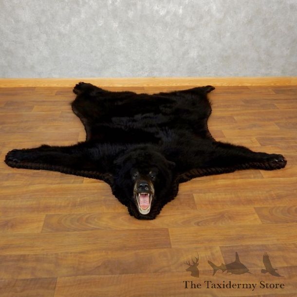Black Bear Full Rug Taxidermy Mount For Sale #17854 @ The Taxidermy Store