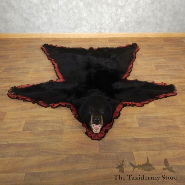 Black Bear Full-Size Rug For Sale #17854 @ The Taxidermy Store