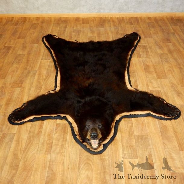 Black Bear Full-Size Rug For Sale #17251 @ The Taxidermy Store