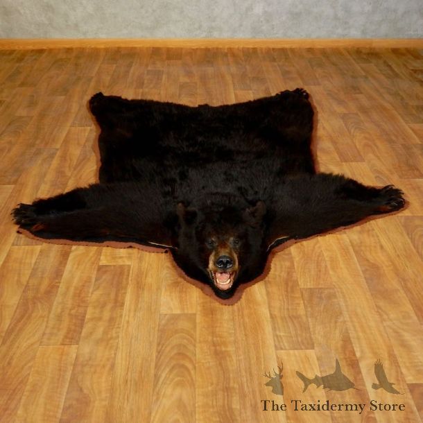 Black Bear Full-Size Rug For Sale #17253 @ The Taxidermy Store