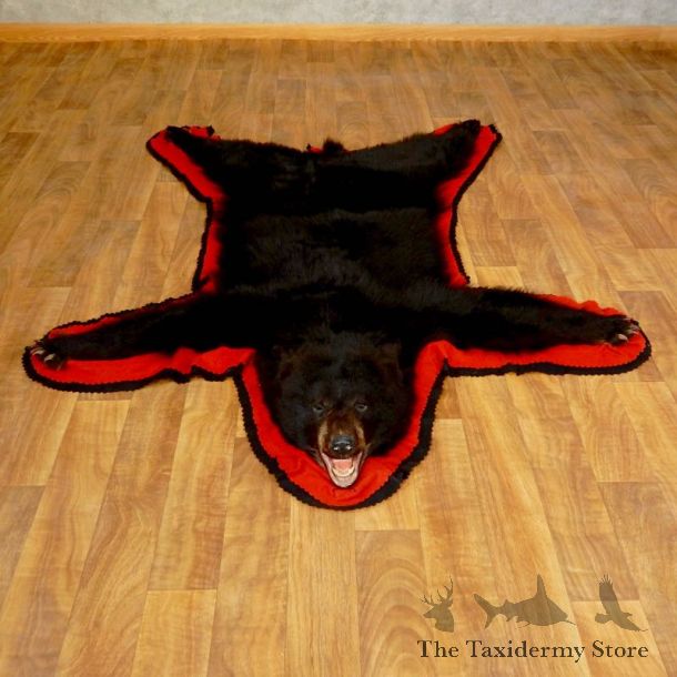 Black Bear Full-Size Rug For Sale #17254 @ The Taxidermy Store
