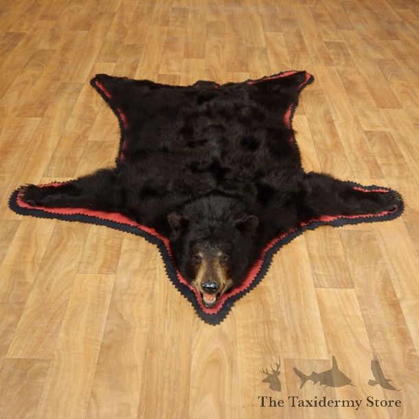 Black Bear Full-Size Rug For Sale #17259 @ The Taxidermy Store