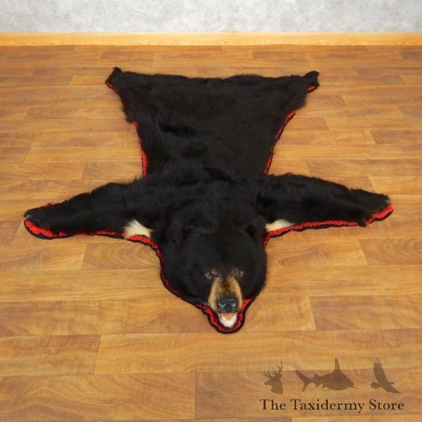 Black Bear Full-Size Rug For Sale #17859 @ The Taxidermy Store