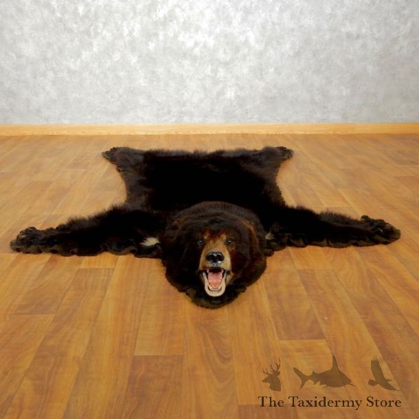 Black Bear Full-Size Rug For Sale #17503 @ The Taxidermy Store