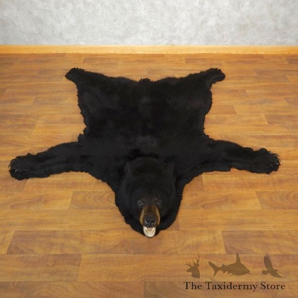 Black Bear Full-Size Rug For Sale #17857 @ The Taxidermy Store