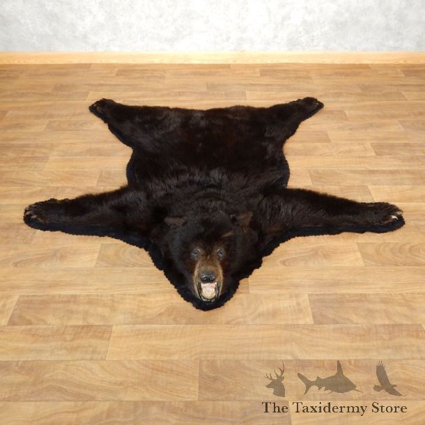 Black Bear Full-Size Rug For Sale #17860 @ The Taxidermy Store