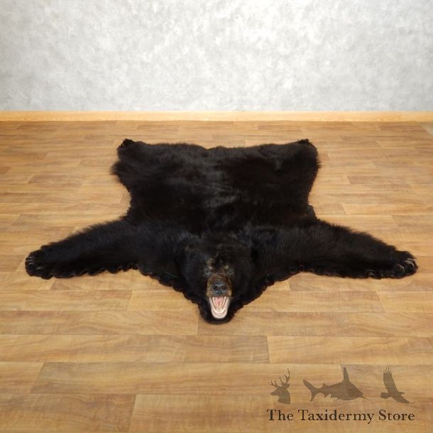 Black Bear Full-Size Rug For Sale #17862 @ The Taxidermy Store