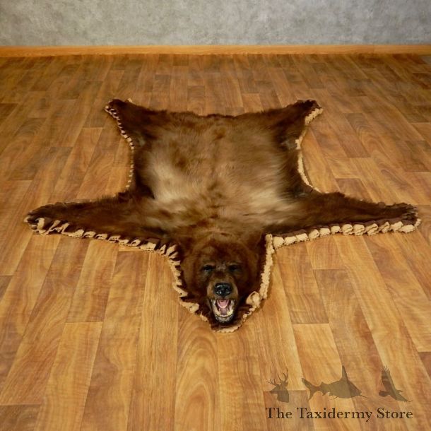 Black Bear Full-Size Rug For Sale #17255 @ The Taxidermy Store
