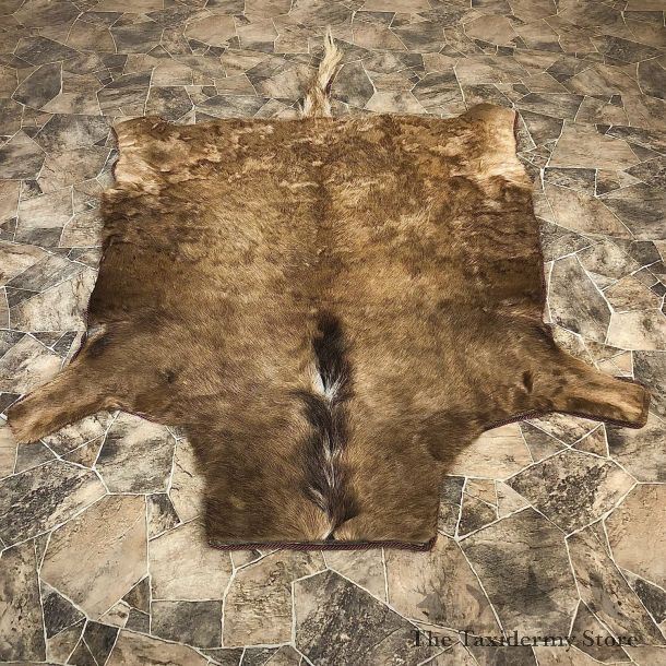 Black Wildebeest Rug Mount For Sale #20088 @ The Taxidermy Store