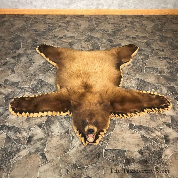 Blonde Black Bear Full-Size Rug For Sale #20085 @ The Taxidermy Store