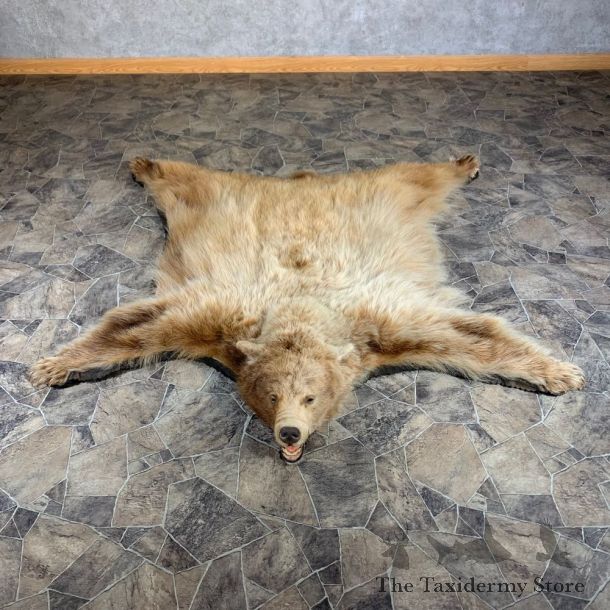 Blonde Black Bear Full-Size Rug For Sale #24013 @ The Taxidermy Store