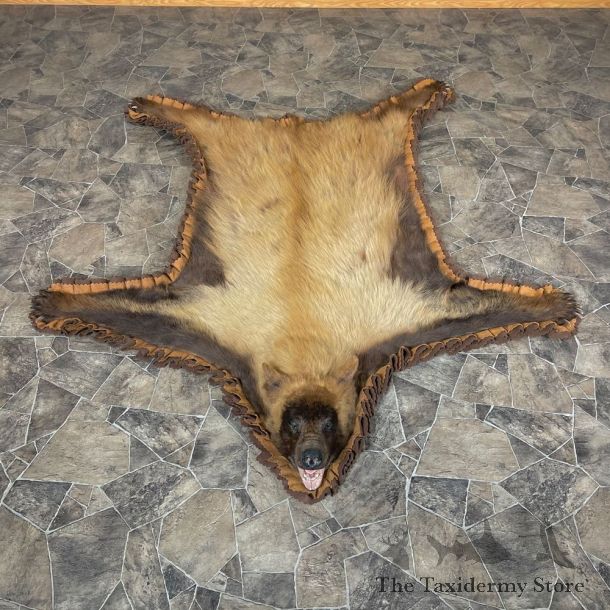 Blonde Phase Black Bear Full-Size Rug For Sale #24176 @ The Taxidermy Store
