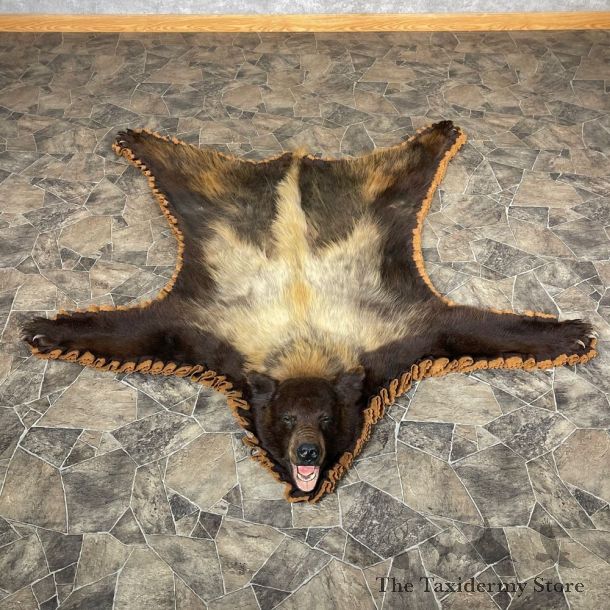 Blonde Phase Black Bear Full-Size Rug For Sale #24177 @ The Taxidermy Store