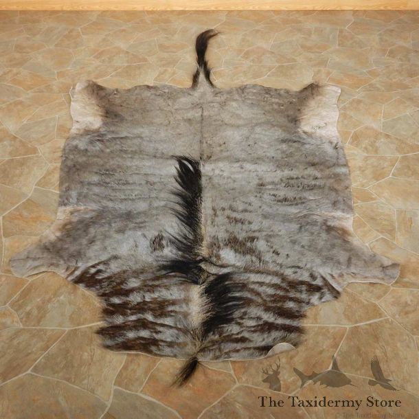Blue Wildebeest Rug For Sale #14861 @ The Taxidermy Store
