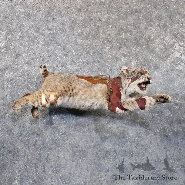 Legendermy Steampunk Bobcat Mount #11821 For Sale @ The Taxidermy Store