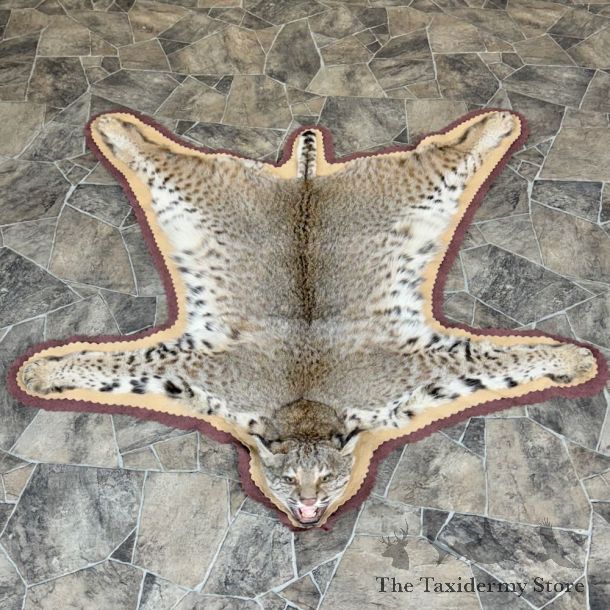 Bobcat Taxidermy Rug Mount For Sale #27857 @ The Taxidermy Store