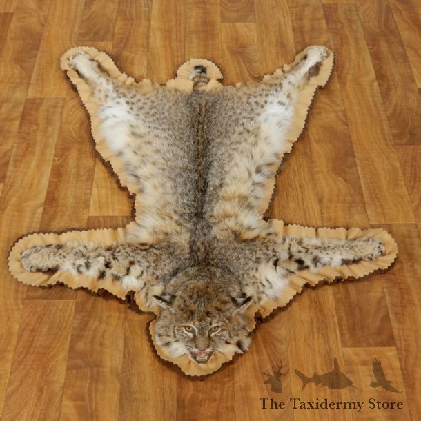 Bobcat Taxidermy Rug Mount For Sale #17437 @ The Taxidermy Store