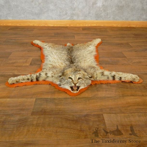 Bobcat Taxidermy Rug Mount For Sale #17853 @ The Taxidermy Store