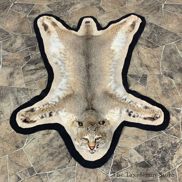 Bobcat Taxidermy Rug Mount For Sale #21866 @ The Taxidermy Store