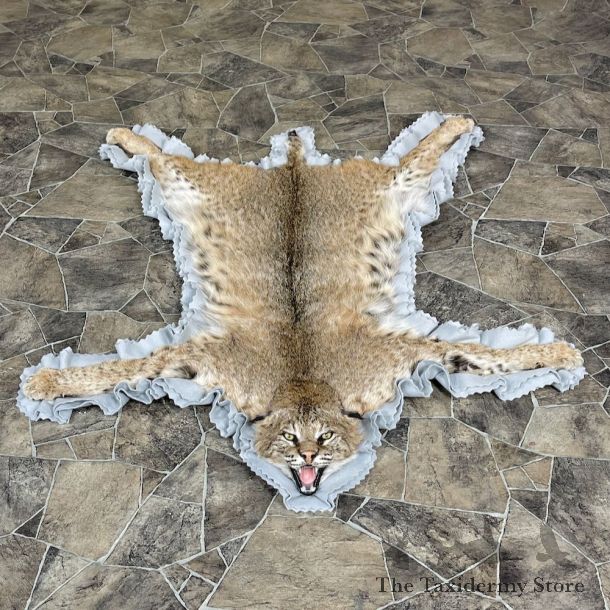 Bobcat Taxidermy Rug Mount For Sale #25267 @ The Taxidermy Store