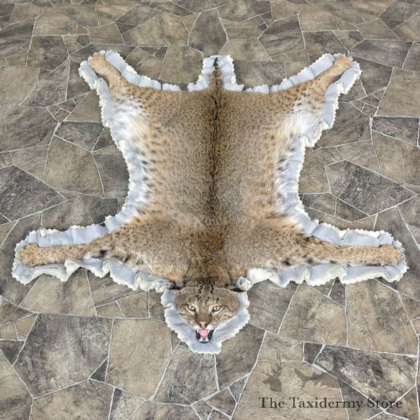 Bobcat Taxidermy Rug Mount For Sale #25268 @ The Taxidermy Store