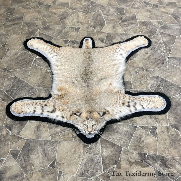 Bobcat Taxidermy Rug Mount For Sale #26295 @ The Taxidermy Store