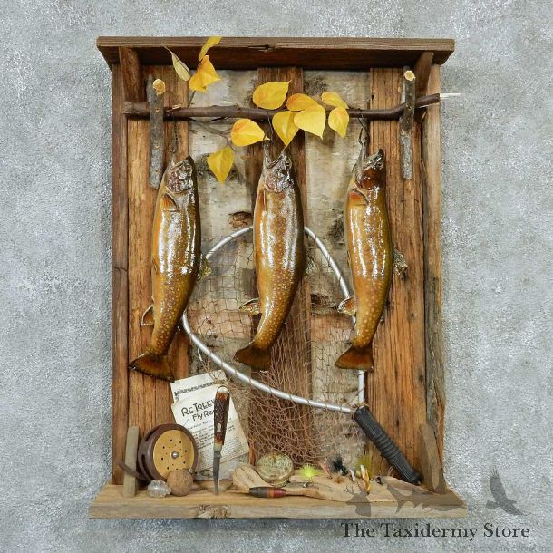Captain's Classic Brook Trout Display Taxidermy Mount #13298 For Sale @ The Taxidermy Store