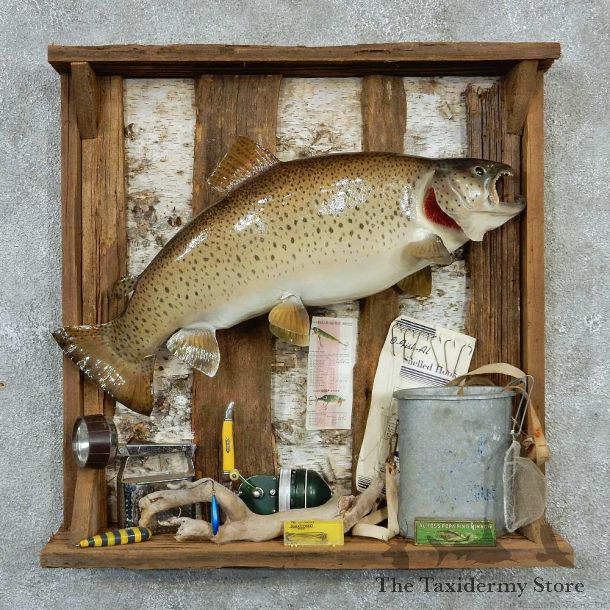 Captain's Classic Brown Trout Display Taxidermy Mount #13301 For Sale @ The Taxidermy Store
