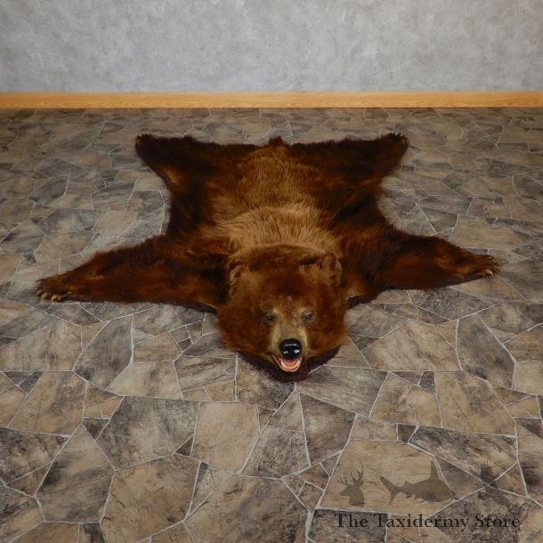 Chocolate Phase Black Bear Taxidermy Rug 18976 For Sale @ The Taxidermy Store