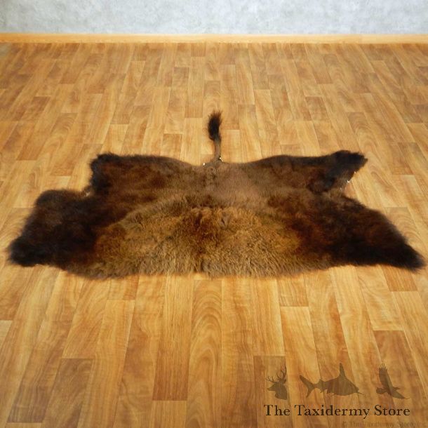 American Buffalo Throw Rug Taxidermy Mount #13374 For Sale @ The Taxidermy Store