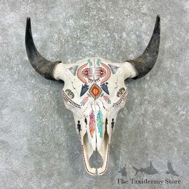 Buffalo Bison Skull Mount For Sale #25996 @ The Taxidermy Store