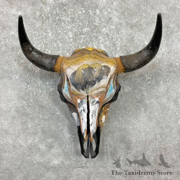 Buffalo Bison Skull Mount For Sale #26251 @ The Taxidermy Store