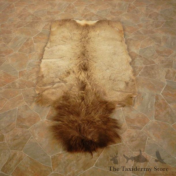Bull Elk Hide Mount For Sale #14896 @ The Taxidermy Store