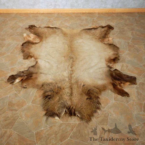 Bull Elk Rug For Sale #14899 @ The Taxidermy Store