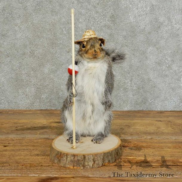 Fishing Squirrel Novelty Mount For Sale #16109 @ The Taxidermy Store