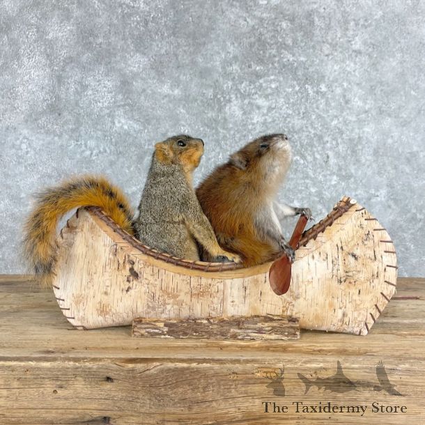 Canoe Pals Squirrel and Muskrat Novelty Mount For Sale #28042 @ The Taxidermy Store