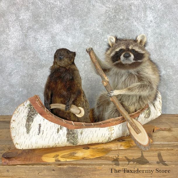 Canoeing Pals Novelty Mount For Sale #22478 @ The Taxidermy Store