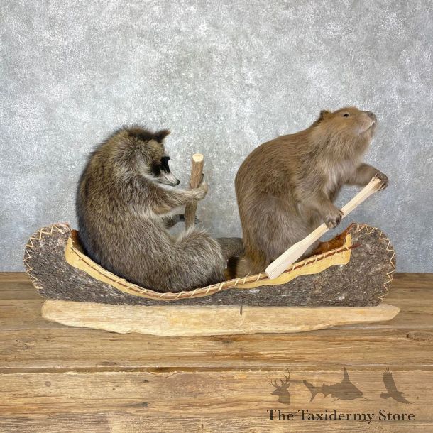 Canoeing Pals Novelty Mount For Sale #24329 @ The Taxidermy Store