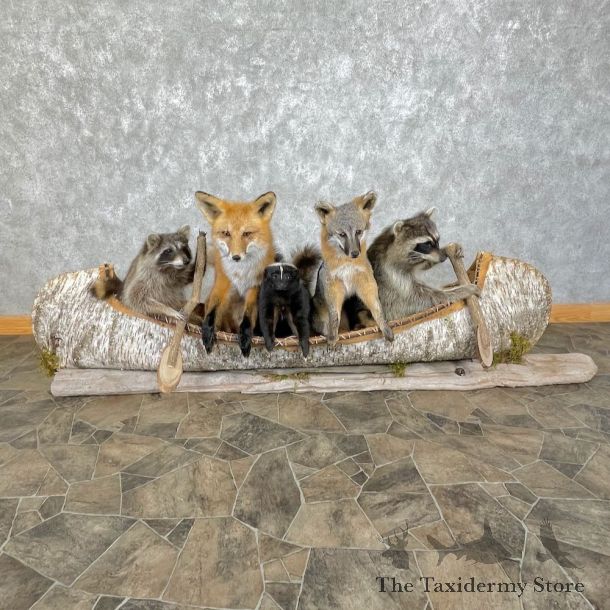 Canoeing Pals Novelty Mount For Sale #25300 @ The Taxidermy Store