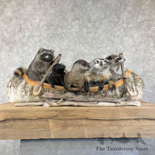 Canoeing Pals Novelty Mount For Sale #26211 @ The Taxidermy Store