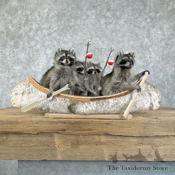 Canoeing Pals Novelty Mount For Sale #26212 @ The Taxidermy Store